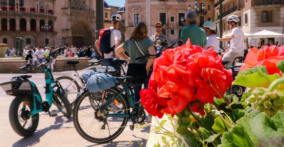 Entdecke Valencia mit dem Fahrrad – Tour auf Niederländisch