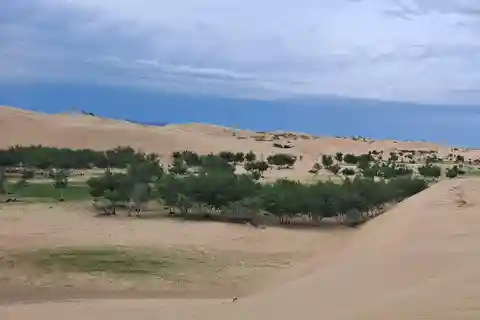 Mongolia: Mini Gobi, Orkhon, and Kharkhorin 4 Day Tour