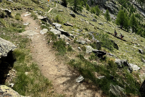 Zermatt: Longest suspension Bridge in the Alps