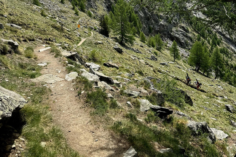 Zermatt: Longest suspension Bridge in the Alps
