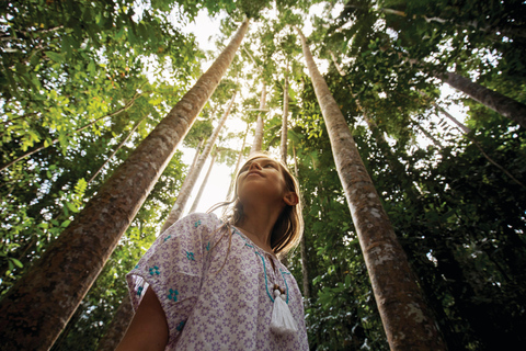 Parque Paronella: Tour diurno e noturno com vida selvagem e floresta tropical