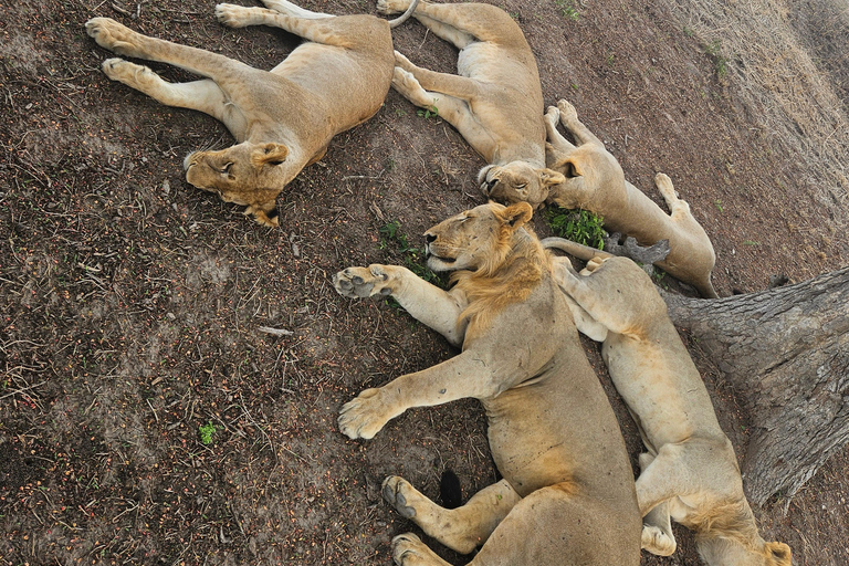 Safari 3-Days from Zanzibar to Mikumi National Park by ferry Come to meeting point "Dar es Salaam SGR station"
