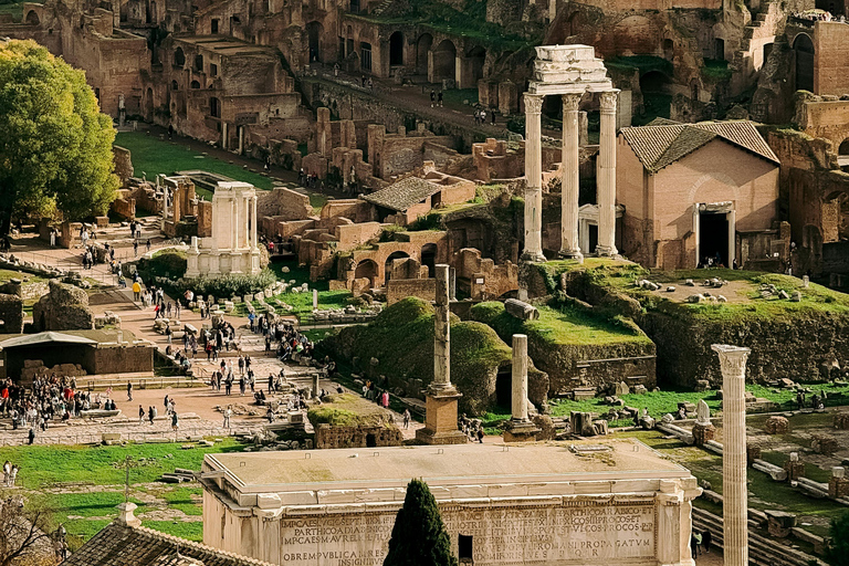 Colosseum: Guided tour of the Underground, Arena, Roman Forum, and Palatine Hill
