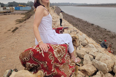 Agadir Camel Ride &amp; Flamingo River + Souk &amp; Moroccan Tea