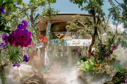 Chiang Mai: Café Lalita y Templos Blanco, Azul y del Gran Buda