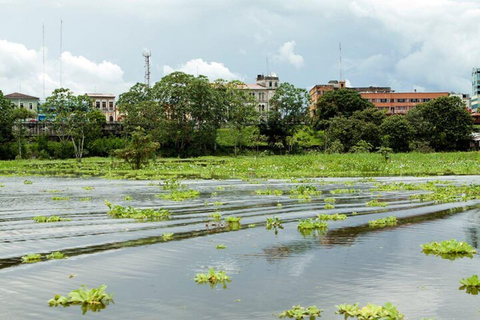 Descubra Iquitos: City tour e o Mercado de Belén