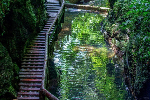 Sichuan: Mount Qingcheng Ticket, PDF & Concierge