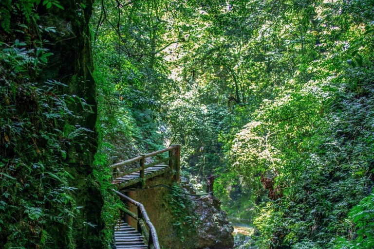 Sichuan: Mount Qingcheng Ticket, PDF & Concierge