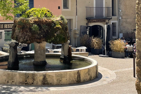 Provence Gourmet Market & Village Tour: Aix, Cucuron, & Lourmarin