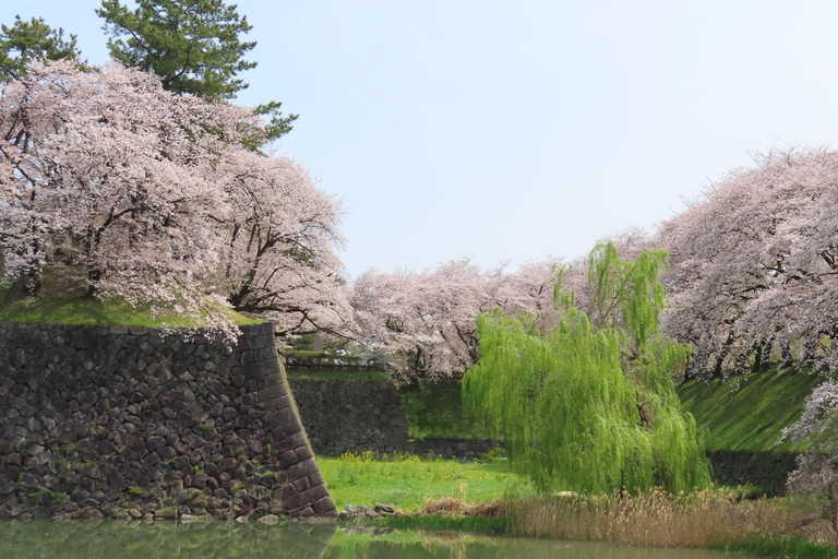 ناغويا: تأجير كيمونو وجولة في المدينة