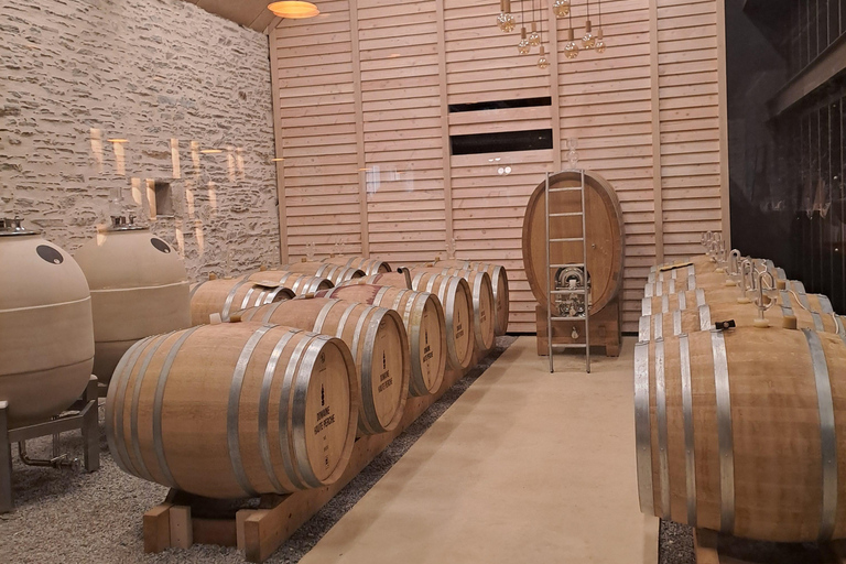 Introduction to Loire Anjou Wines - Morning tour