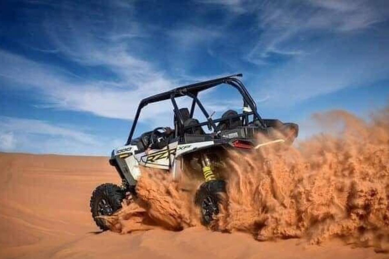 Doha: Desert Safari & City Tour from Hotel or Airport 6 Hour Sharing Tour