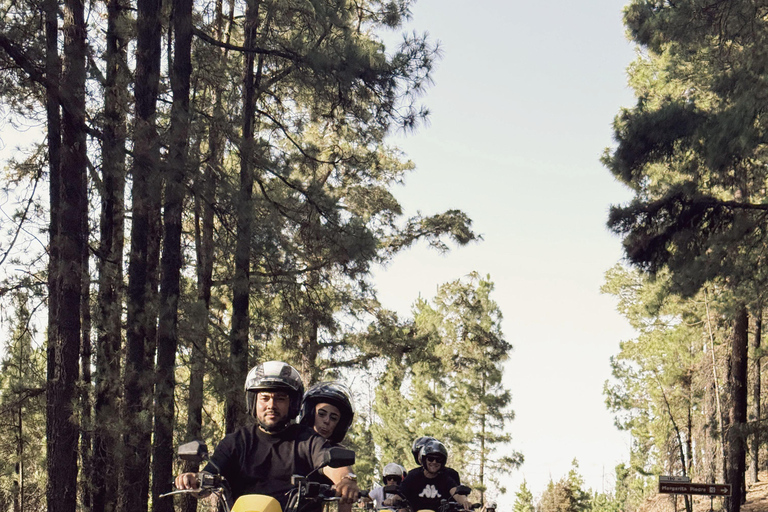 Puerto de la Cruz: Ascend Mount Teide on a quad bike to experience a magical sunset Individual Quad (1 person per quad)