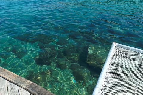 From Tirana: Private Transfer to Sarandë / Ksamil with Stops