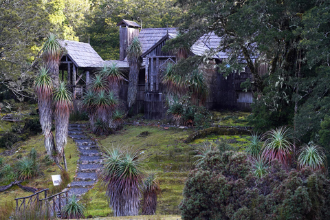 Cradle Mountain: Day Trip from Launceston with Lunch