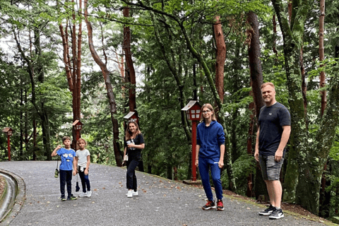 Depuis Tokyo : Excursion privée d&#039;une journée à Nikko, site du patrimoine mondial