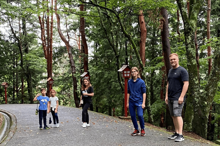 Tokyo : Visite touristique privée de Nikko en Land Cruiser de luxe