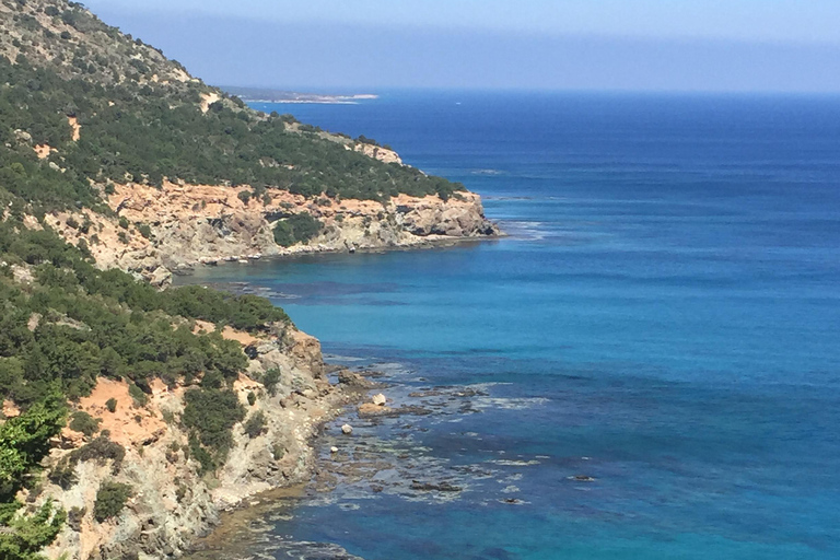 St. Neophyte Monastery & Latchi: Guided French-speaking tour St. Neophyte Monastery & Latchi: Guided French-speaking Tour