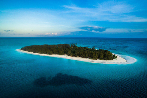 Turtle Snorkeling Tour, Clear Kayak Experience