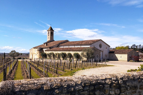 Från Bordeaux till Saint Emilion med gruscykel - vinprovning