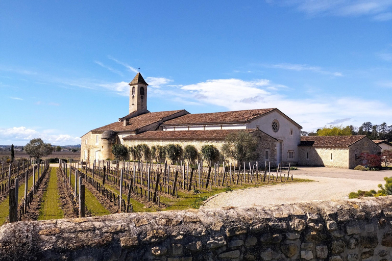 Z Bordeaux do Saint Emilion rowerem szutrowym - degustacja wina