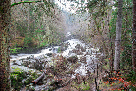 Scone Palace, Nature Walk and Whisky Experience Private Tour