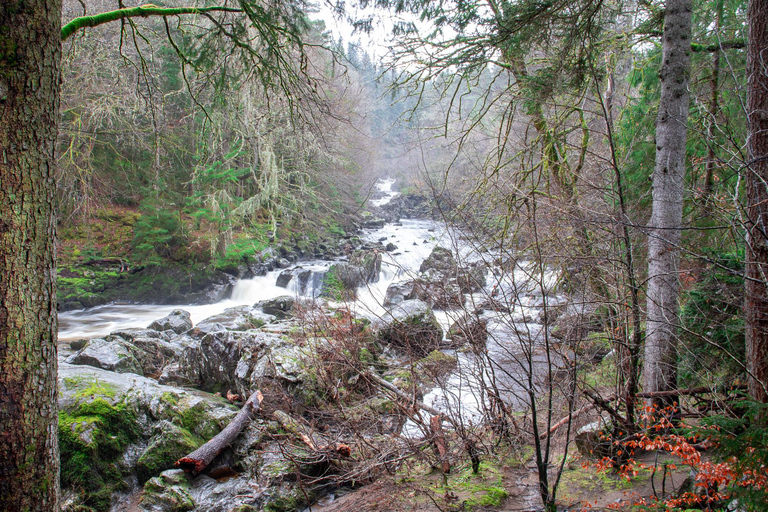 Scone Palace, Nature Walk and Whisky Experience Private Tour