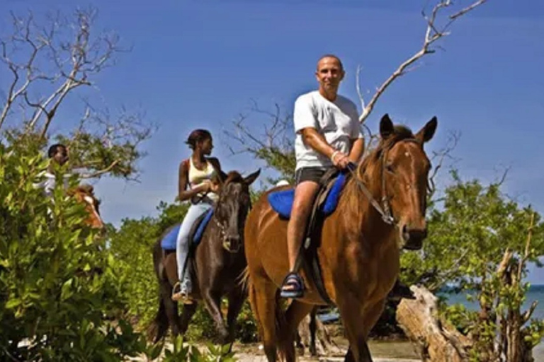 Chukka Horseback Ride &amp; Swim from Montego BayHorseback Ride &amp; Swim