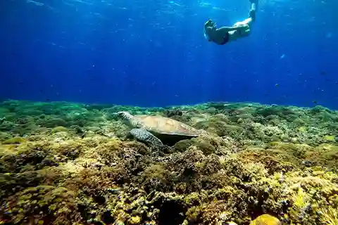 Gili island sunset & snorkeling tour gopro included