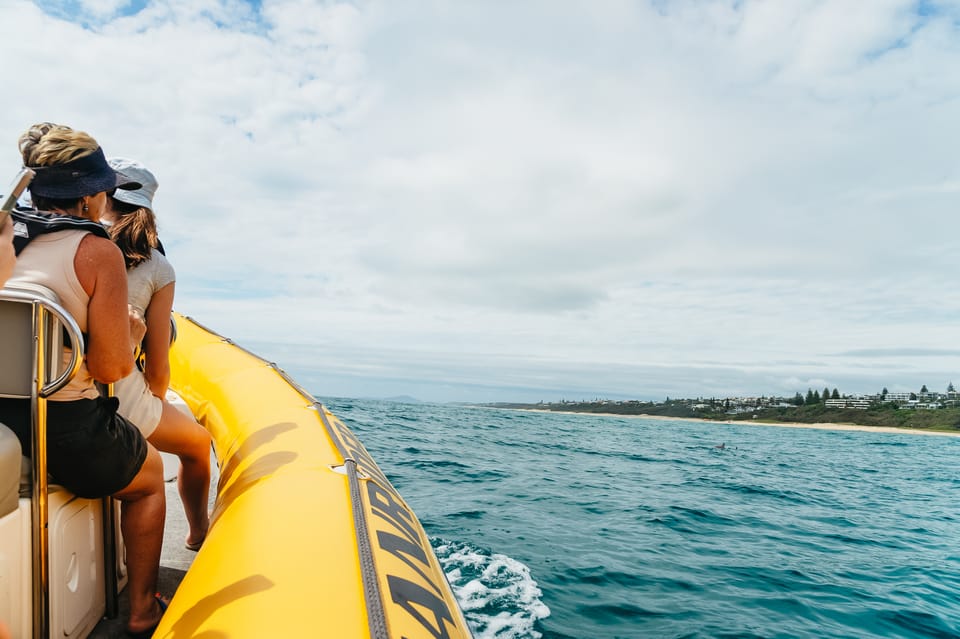 Wave shop rider noosa