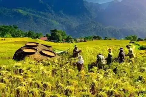Desde Hanói: Excursión de 3 días a Mai Chau, Pu Luong y Ninh Binh
