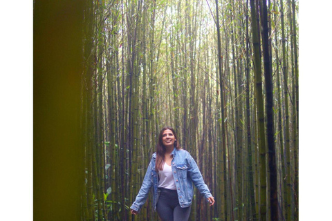 لاس فيراباس: جولة لمدة 3 أيام إلى سيموك شامبي والكثير من الطبيعة