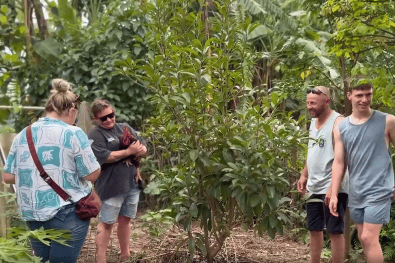 Hanoi Jeep Safari Tour: Red River Island Adventure | 2 Hours