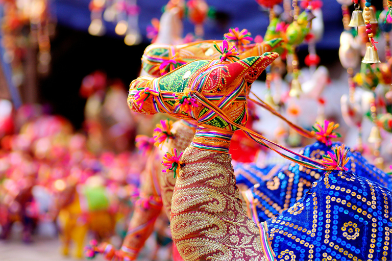 Delhi: Dilli Haat INA Guided Tour with Hotel Pickup