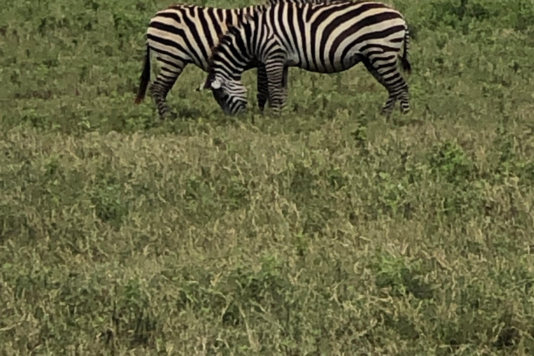 3 Days Tanzania Lodge Safari