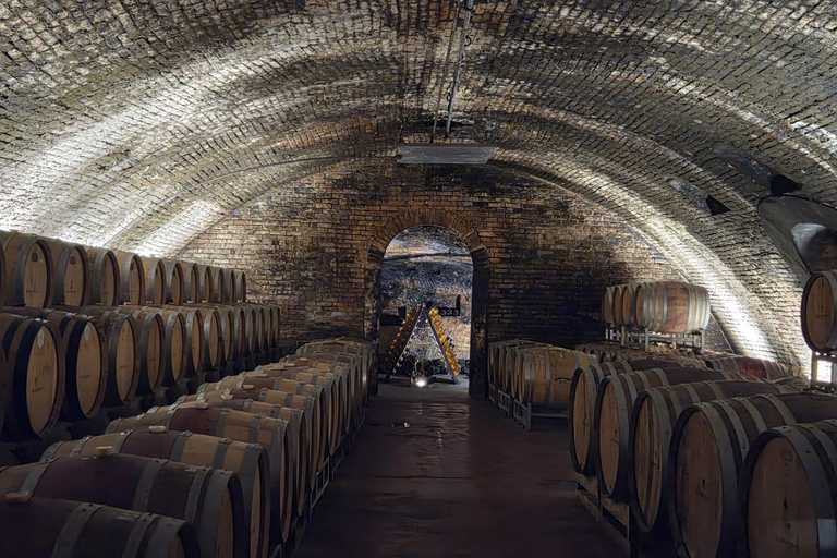 Milan: Barolo Vineyards & UNESCO Wine Cathedral Experience