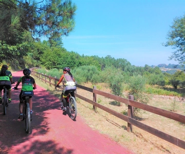 From Coimbra: Cycling on the Dão Ecotrail