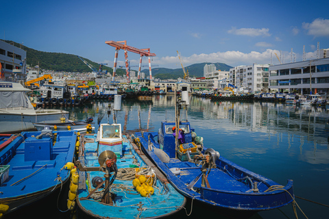 Busan: Power Walk Tour with a Local Mate