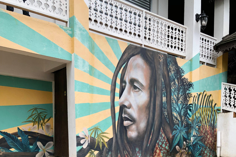 鲍勃·马利九英里之旅（从蒙特哥贝和法尔茅斯出发）鲍勃·马利9英里之旅（从蒙特哥贝和法尔茅斯出发）