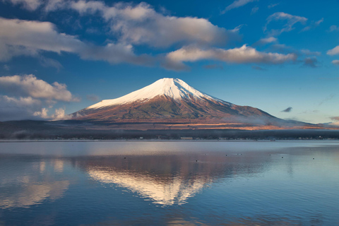 Tokyo: Private Mount Fuji Tour with 5 Lakes - English-Driver