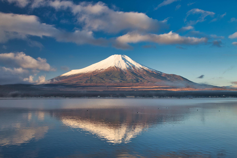 Tokyo: Private Mount Fuji Tour with 5 Lakes - English-Driver