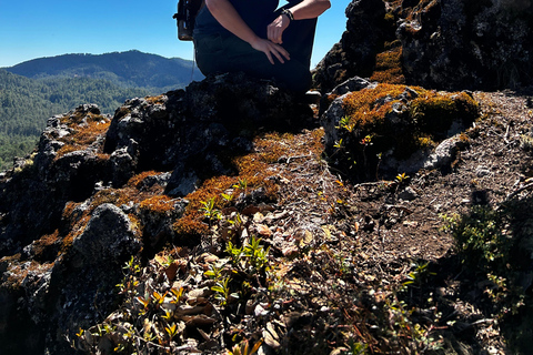 Oaxaca: Hiking in the Mushroom Forest of Cuajimoloyas