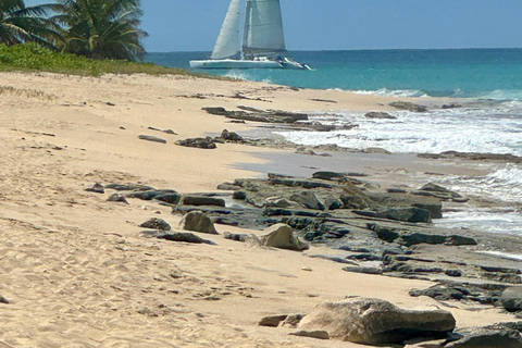 No1Sxm Demi-journée de plongée en apnée et de navigation au coucher du soleil