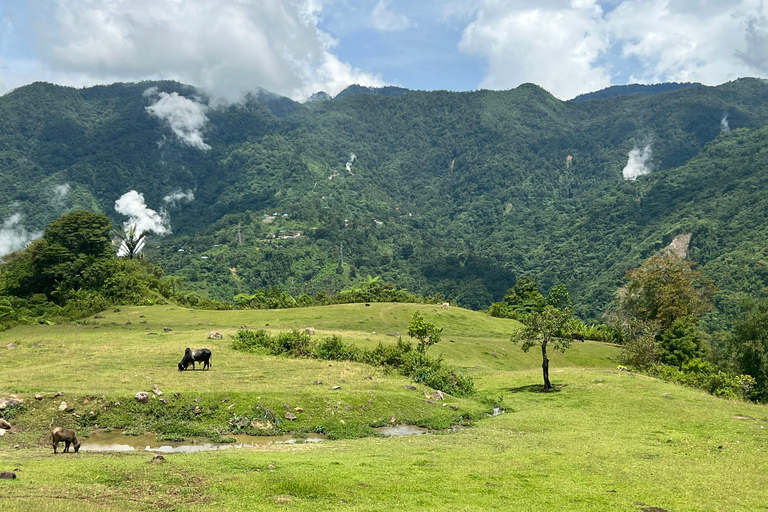 Passeios em Dumaguete em inglês