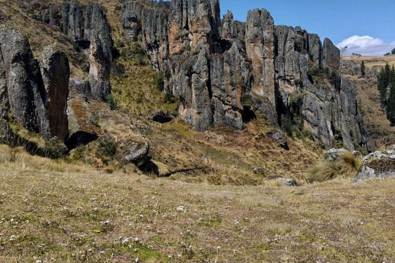 Cumbemayo Marvels: Den Steinwald enträtseln