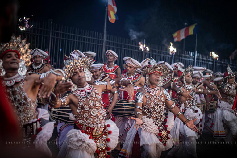 Kandy Cultural Festival Viewing Seat with Local Guide