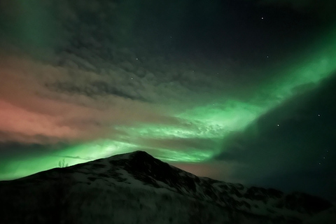 Tromsø: Tour di inseguimento dell&#039;aurora boreale con spuntini e bevande