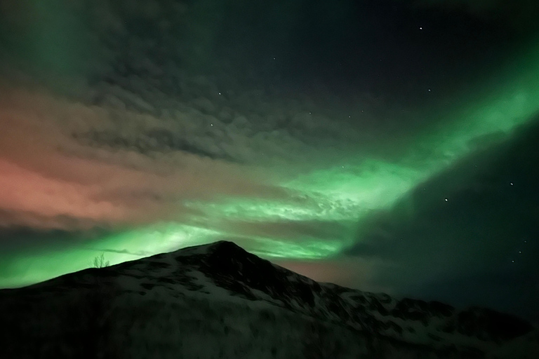 Tromsö: Northern Lights Chase Tour med snacks och dryck