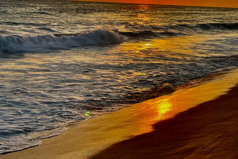 Desde Huatulco: Excursión Ecológica Cocodrilos y TortugasServicio Privado en Vehículo Avanza