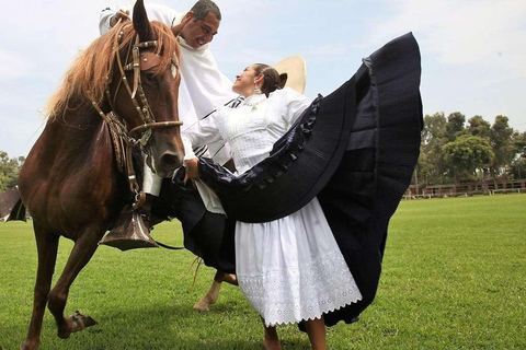 Desde Trujillo | Espectáculo de Marinera con caballos peruanos de paso